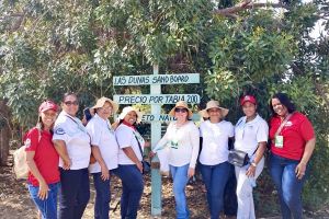 Estudiantes del IEESL realizan visita técnica a las Dunas de Baní para estudiar su ecosistema