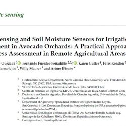 Investigación del IEESL publica avances en la optimización del riego en aguacate